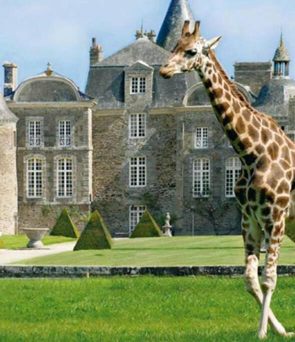 La Baie Du Mont Appartement De Vacances Proche Du Mont Saint Michel Roz-sur-Couesnon Zewnętrze zdjęcie